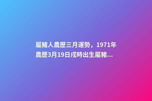 屬豬人農歷三月運勢，1971年農歷3月19日戌時出生屬豬人的運勢 農歷1993年3月19日，出生的人命運怎么樣？什么星座-第1張-觀點-玄機派